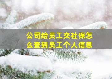 公司给员工交社保怎么查到员工个人信息