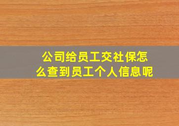 公司给员工交社保怎么查到员工个人信息呢