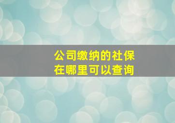 公司缴纳的社保在哪里可以查询