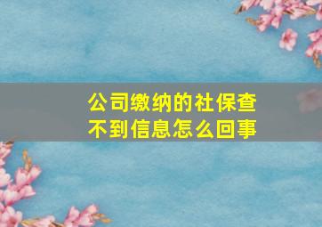 公司缴纳的社保查不到信息怎么回事