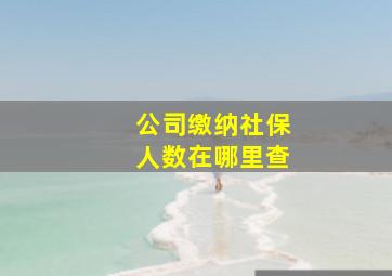 公司缴纳社保人数在哪里查