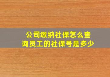 公司缴纳社保怎么查询员工的社保号是多少