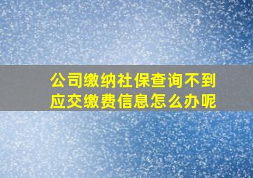 公司缴纳社保查询不到应交缴费信息怎么办呢