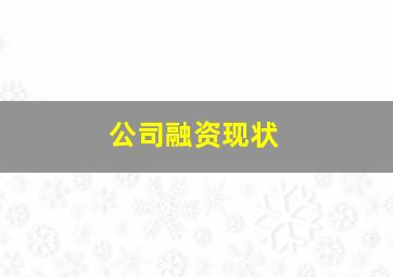 公司融资现状