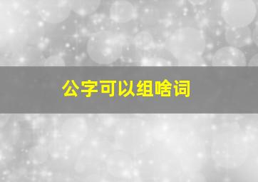 公字可以组啥词