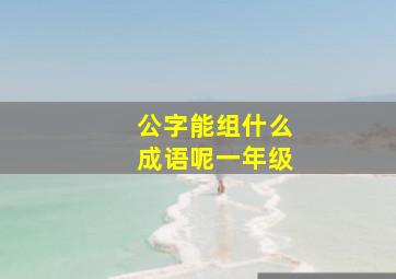 公字能组什么成语呢一年级