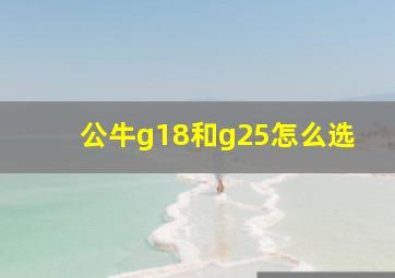 公牛g18和g25怎么选