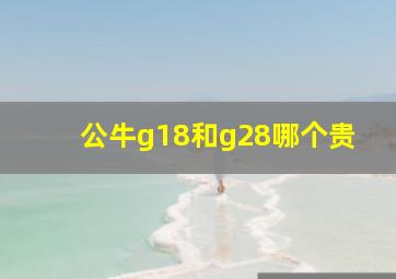 公牛g18和g28哪个贵