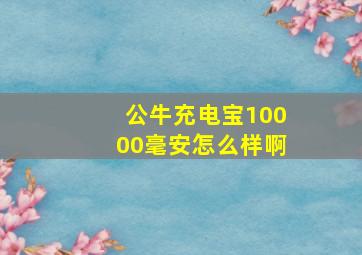 公牛充电宝10000毫安怎么样啊