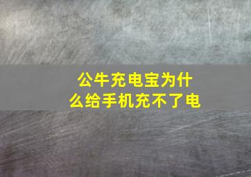 公牛充电宝为什么给手机充不了电