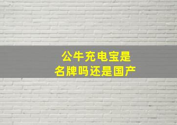 公牛充电宝是名牌吗还是国产