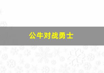 公牛对战勇士