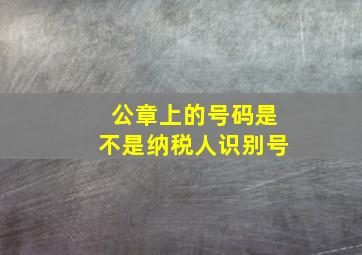 公章上的号码是不是纳税人识别号