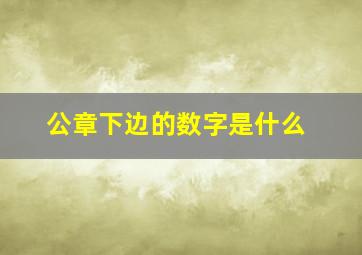 公章下边的数字是什么