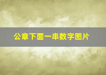 公章下面一串数字图片