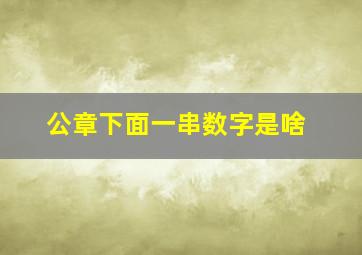 公章下面一串数字是啥