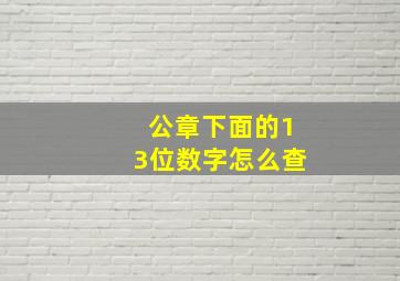 公章下面的13位数字怎么查