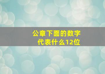 公章下面的数字代表什么12位