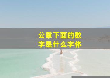 公章下面的数字是什么字体