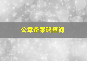 公章备案码查询