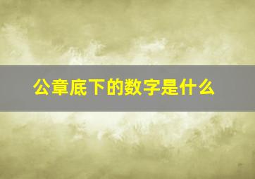 公章底下的数字是什么