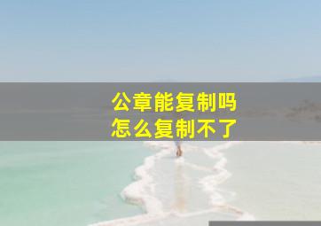 公章能复制吗怎么复制不了