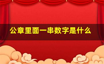 公章里面一串数字是什么