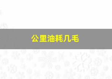 公里油耗几毛