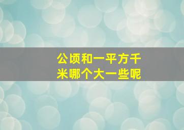 公顷和一平方千米哪个大一些呢