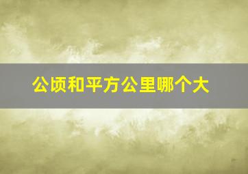 公顷和平方公里哪个大