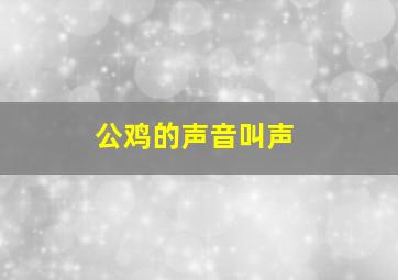 公鸡的声音叫声