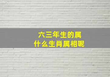 六三年生的属什么生肖属相呢