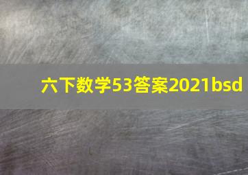 六下数学53答案2021bsd