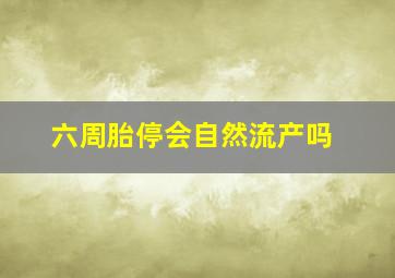 六周胎停会自然流产吗