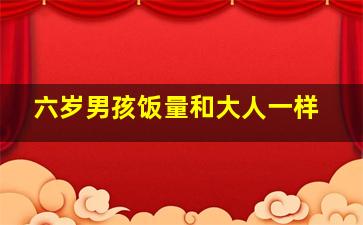 六岁男孩饭量和大人一样