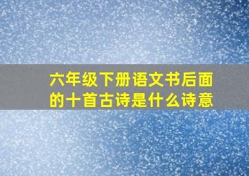 六年级下册语文书后面的十首古诗是什么诗意