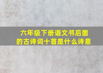 六年级下册语文书后面的古诗词十首是什么诗意