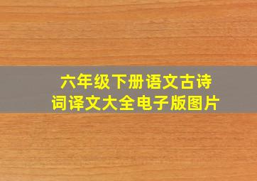 六年级下册语文古诗词译文大全电子版图片