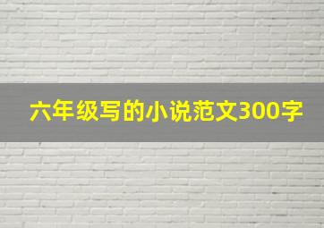 六年级写的小说范文300字