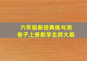 六年级新经典练与测卷子上册数学北师大版