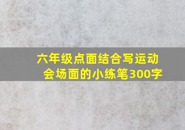 六年级点面结合写运动会场面的小练笔300字