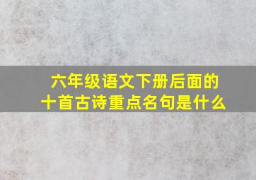 六年级语文下册后面的十首古诗重点名句是什么