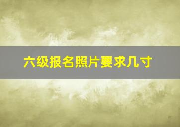 六级报名照片要求几寸