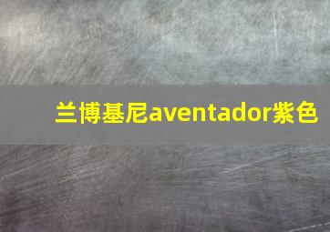 兰博基尼aventador紫色