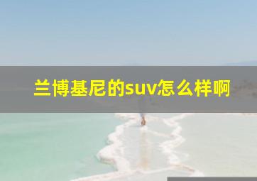 兰博基尼的suv怎么样啊