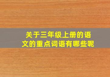 关于三年级上册的语文的重点词语有哪些呢