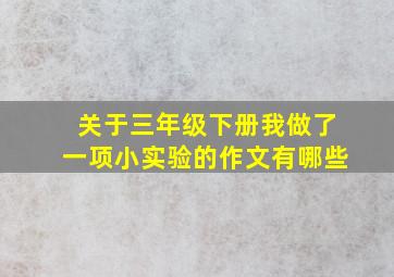 关于三年级下册我做了一项小实验的作文有哪些