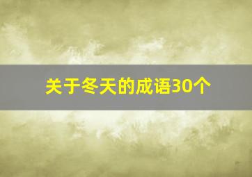 关于冬天的成语30个