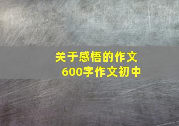 关于感悟的作文600字作文初中