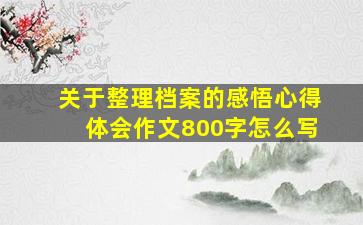 关于整理档案的感悟心得体会作文800字怎么写